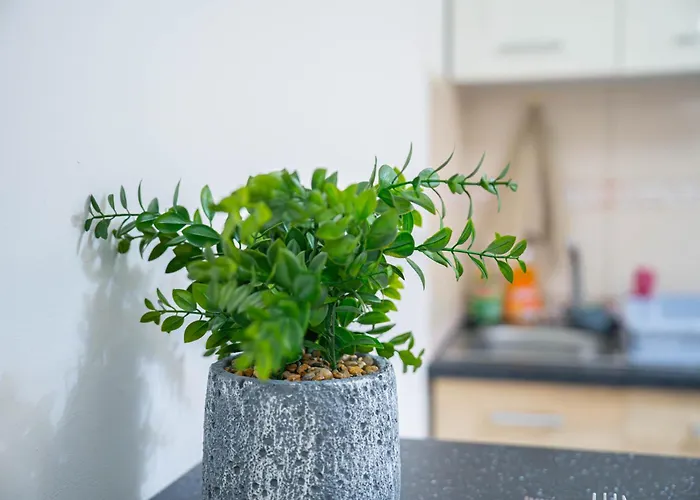 Onar Mackenzie 1 Apartman